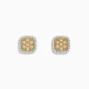 BH Multi Canare 14K Two Tone Gold Cushion Shaped Cluster Yellow Diamond Earrings | Earrings